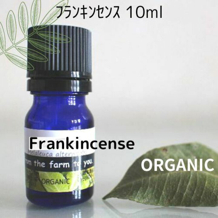 アウトレット☆送料無料 精油 フランキンセンス 10ml フランキンセンス精油10ml★オマケ付アロマオイル