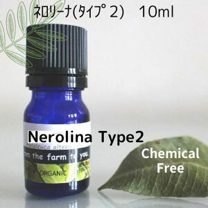 l[iiType 2j10ml_͔|GbZVICJXgXԂ̎ɎgIA}IC100sAICyz