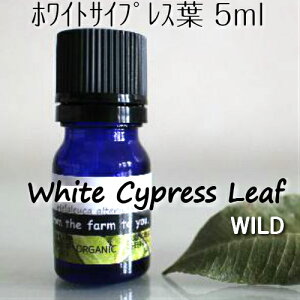 zCgTCvXitj 5ml􎩑R100sA@GbZVIC̗tɊÂƃXbLu₩C𗎂ؓɂ̊ɘaA}IC