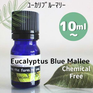 [JEu[}[ _10ml 30ml 100ml100sA@GbZVICċznւ̓(E/L/)@@X[bƒʂ銴A}ICyz