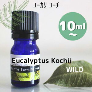 [JER[` 10ml, 30ml, 100ml_쐶􎩑Ri`􂢂~gñX[bƂCǎxnɁ悯100sA@GbZVICA}I