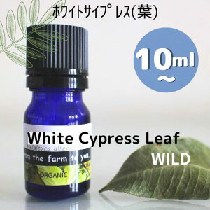 zCgTCvXitj 10ml, 30ml, 100mlR100sA@GbZVIC̗tɊÂƃXbLu₩C𗎂ؓɂ̊ɘaA}IC