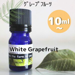 ySALEZ[Izy40-50OFFzzCgO[vt[c10ml, 30ml, 100ml100sA@GbZVIC@_CGbgI̓bRāނ݁􊹋kn̑u₩ȍfIh