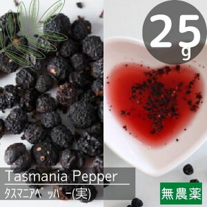 i`^X}jAybp[(25g)􎩑R̃ybp[z[_􃏃Ch쐶`HނƂĔF!MdȃubVt[h!̒͐^ԂY􂨟ȃXpCXRV