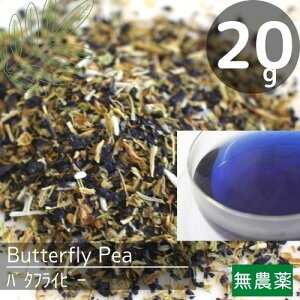 R͔|_o^tCs[i20gj̃n[ueB[y[ցzAgVAjLx􍂂R_p~lLxIWĩuh߁