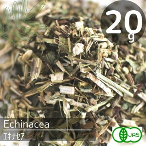 L@JASFI[KjbNGLiZAi20g)Ɖu͂Ăɂ߂̃eB[ׂCtGU\h􃁃fBJn[uԕǂAM[̊ɘaɁ