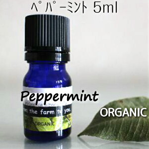 yp[~g 5mly[ցzI[KjbN100sA@GbZVIC􃁃\[ŒmnbJn̍n̒q𐮂悯ɂ