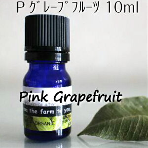 sNO[vt[c10ml100sA@GbZVIC@ƉuAbvI̓bRāRI[KjbN􊹋kn̑u₩ȊÂT߂̍A}ICy