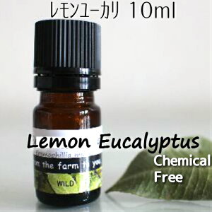 E[J 10mlyz100sA@GbZVICċznւ̓(E/L/)A}IC@_͔|I[XgA璼A