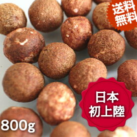 楽天市場 エジプト スイーツ お菓子 の通販