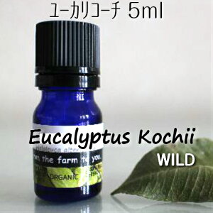 [JER[` 5ml_􎩑Ri`􂢂~gñX[bƂCǎxnɁ悯100sA@GbZVICA}ICy[