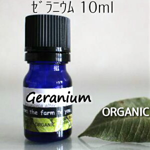 [jE 10mlI[KjbN100sA@GbZVIC􃍁[YƓF܂ރt[ŊÂz̃oX𐮂邱ƂŒmyz