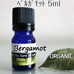 xKbg 5mly[ցzI[KjbN100sA@GbZVIC􃌃ÂfP[gȍt[eB[􊹋knJAsAْ̘a炰ɁA