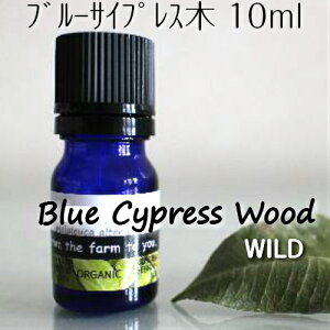 u[TCvX 10mlyzŘb100sA@GbZVICu₩ȃEbfB̏ÂiqmLȁj@bNXʁS𗎂A}