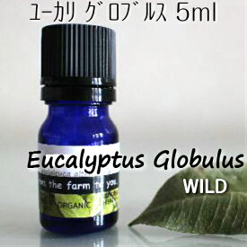 【処分価格】【当店通常価格：1100円】ユーカリ・グロブルス精油 5ml♪自然♪♪100％ピュア　エッセンシャルオイル♪ミント系のシャープでスッキリ感がある香り♪気管支系に効く♪虫よけにも♪♪アロマオイル♪【使用期限：2024年6月】