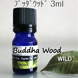 ub_Ebh 3mly[ցzR100sA@GbZVIC􍁂΂؂̍􍂋MdSÂȍ􃊃bNXƉunւ̓A}I