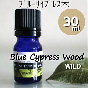 u[TCvX 30mlyzŘb100sA@GbZVICu₩ȃEbfB̏ÂiqmLȁj@bNXʁS𗎂A}