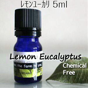 E[J 5mly[ցz100sA@GbZVICċznւ̓(E/L/)A}IC@_͔|I[XgA璼A