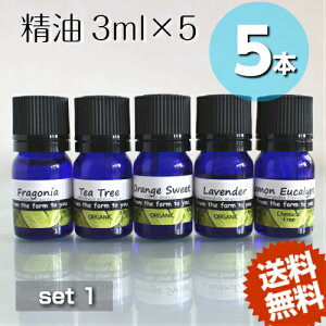 y 3ml×5{Zbgz100sA@GbZVIC߂炵It[cIeB[c[nIԁI[JnIe1{tSjAIWeB[c[􃉃x_[