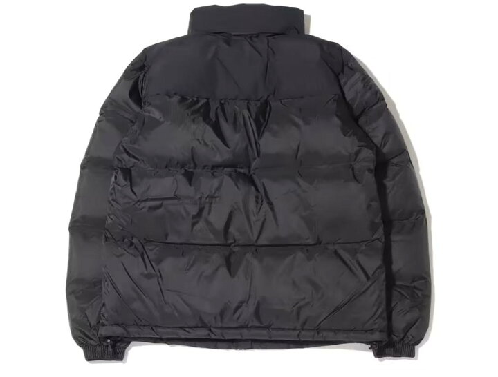 楽天市場】【エントリーでP10倍】THE NORTH FACE GTX Nuptse Jacket 