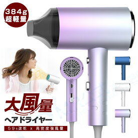 ヘアドライヤー 大風量 速乾 マイナスイオン ドライヤー 恒温 800W 冷熱温風 3段階調節 ヘアケア 美容家電 髪質改善 ヘアードライヤー スピーディーイオンドライヤー 折畳み式 収納 ドライヤー 軽量 旅行 誕生日 ギフト 送料無料 母の日 ギフト