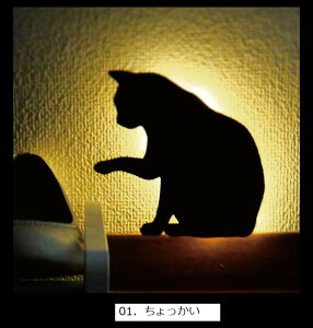 Lbg EH[Cg ǖʎt LED Cg { L ˂ lR Cg Ɩ Ǌ|Ɩ  Ki L Q  Ɩ ȒPt CeA LbgEI[Cg lR L v 