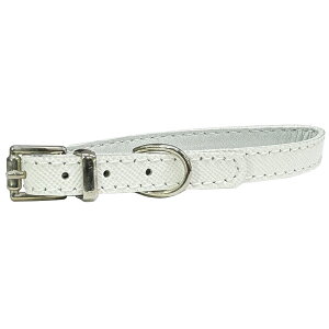 }CX^[WU[J[10MzCg [trmt]