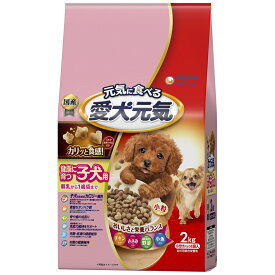 愛犬元気健康に育つ子犬用チキン・ささみ・緑黄色野菜・小魚入り2kg [trmt]