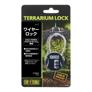 WFbNXOXeEpC[bN [trmt]