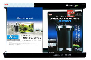 WFbNXOXeA6006_Zbg [trmt]