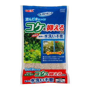 WFbNXxXgTh1.5L [trmt]