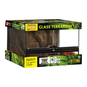 WFbNXOXeE4530 [trmt]