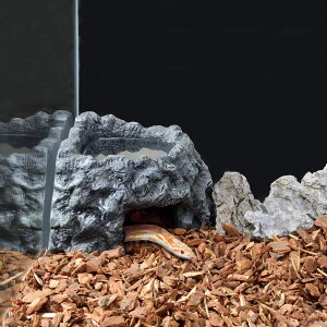 WFbNXCXgVF^[R[i[160O[ [trmt]