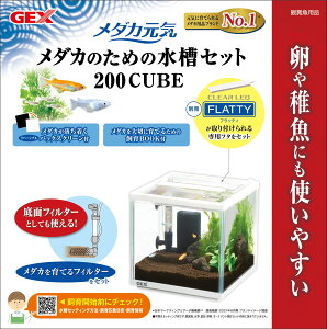 WFbNX_JC_Ĵ߂̐Zbg200CUBE [trmt]