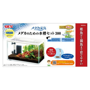 WFbNX_JC_Ĵ߂̐Zbg300 [trmt]