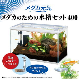 WFbNX_JC_Ĵ߂̐Zbg400 [trmt]