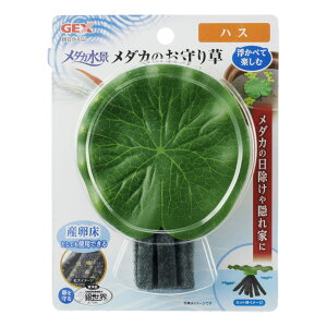 WFbNX_Ji_Ĵ葐nX [trmt]