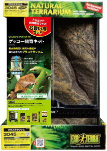 WFbNXQbR[LbgGT3045 [trmt]