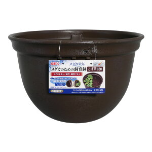 WFbNX_JC_Ĵ߂̎甫32032cm [trmt]