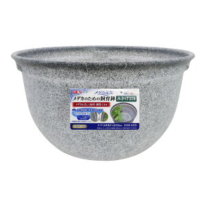 WFbNX_JC_Ĵ߂̎甫݂37037cm݂F [trmt]