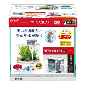 WFbNXXANAZbg200 [trmt]