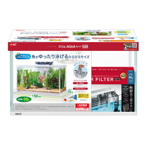 WFbNXXANAZbg500 [trmt]