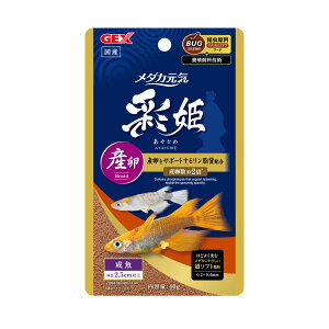 WFbNX_JCʕPYEɐBp40g [trmt]