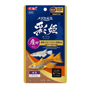 WFbNX_JCʕPYEɐBp100g [trmt]