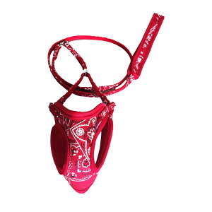 }CX^[\teBn[lX[ho_i3Sbh [trmt]