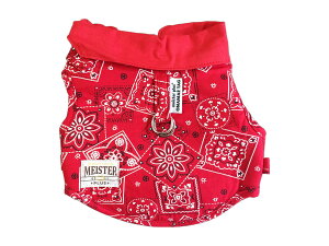 }CX^[vXONAMAE\teBEFAo_i3Sbh [trmt]