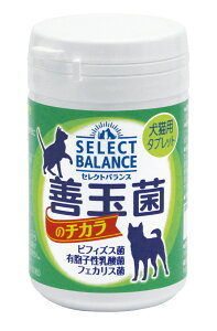 ZNgoXPʋۂ̃`JLpi^ubgj45g [trmt]