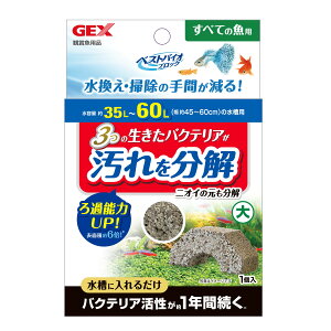 WFbNXxXgoCIubN [trmt]