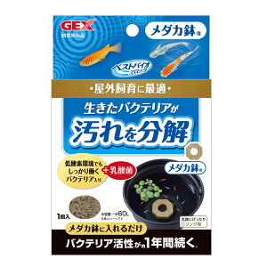 WFbNXxXgoCIubN_Jp [trmt]