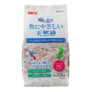 WFbNXiɂ₳VR2.5kg [trmt]